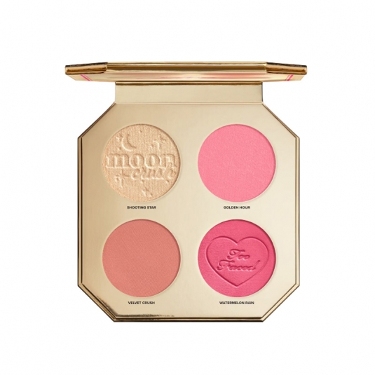 Too Faced Jewel Crush Blush & Highlighter Face Palette