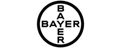 بایر